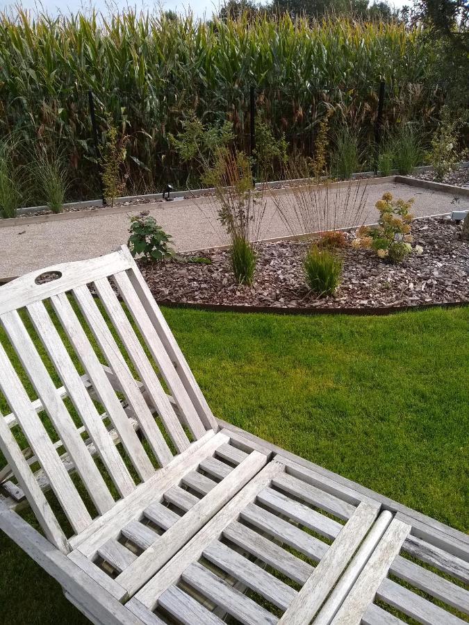 Les Agapanthes Bed and Breakfast Camphin-en-Pevele Eksteriør billede